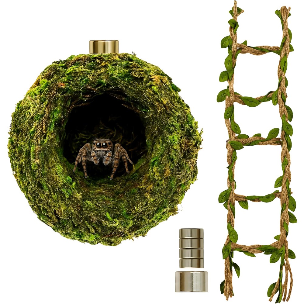 Jump Rope - Jumping Spider Hideout, Habitat Decor— Handmade