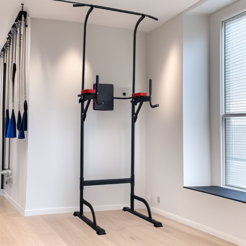 Adjustable Pull Up Station Hom - đánh giá và giá Gym Ball